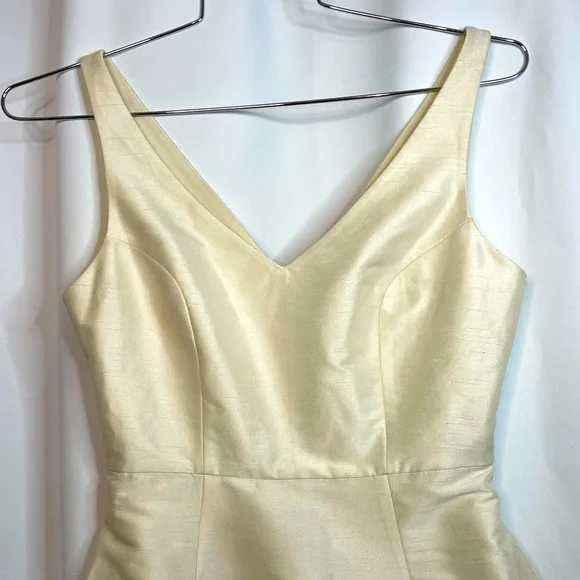 NWT Sachin & Babi Ivory Rosie Dress Sleeveless v-neck sz 2 Dresses